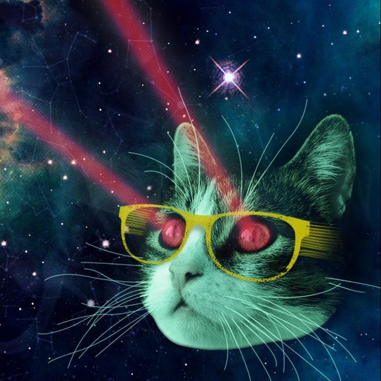 Cool or Cruel: Cat vs. Laser Pointer?