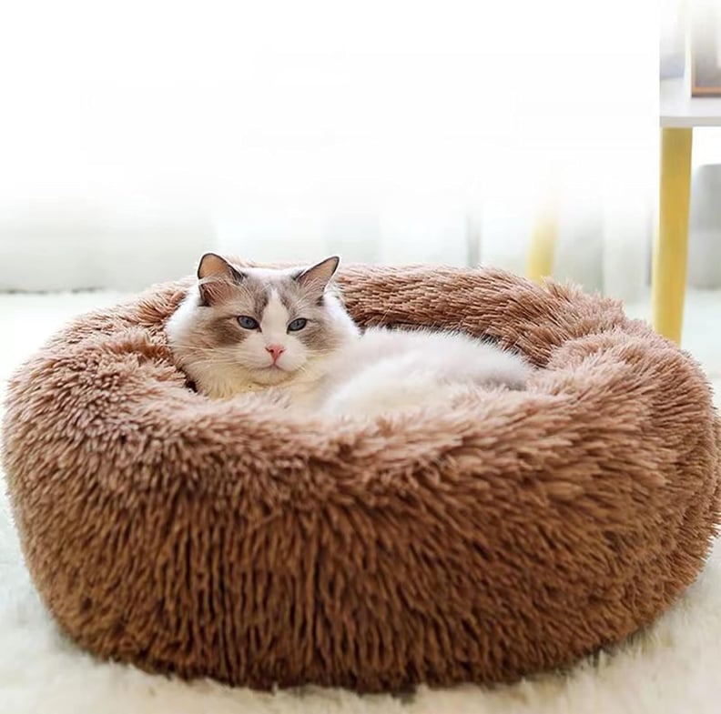 The best dog beds for small dogs cheap