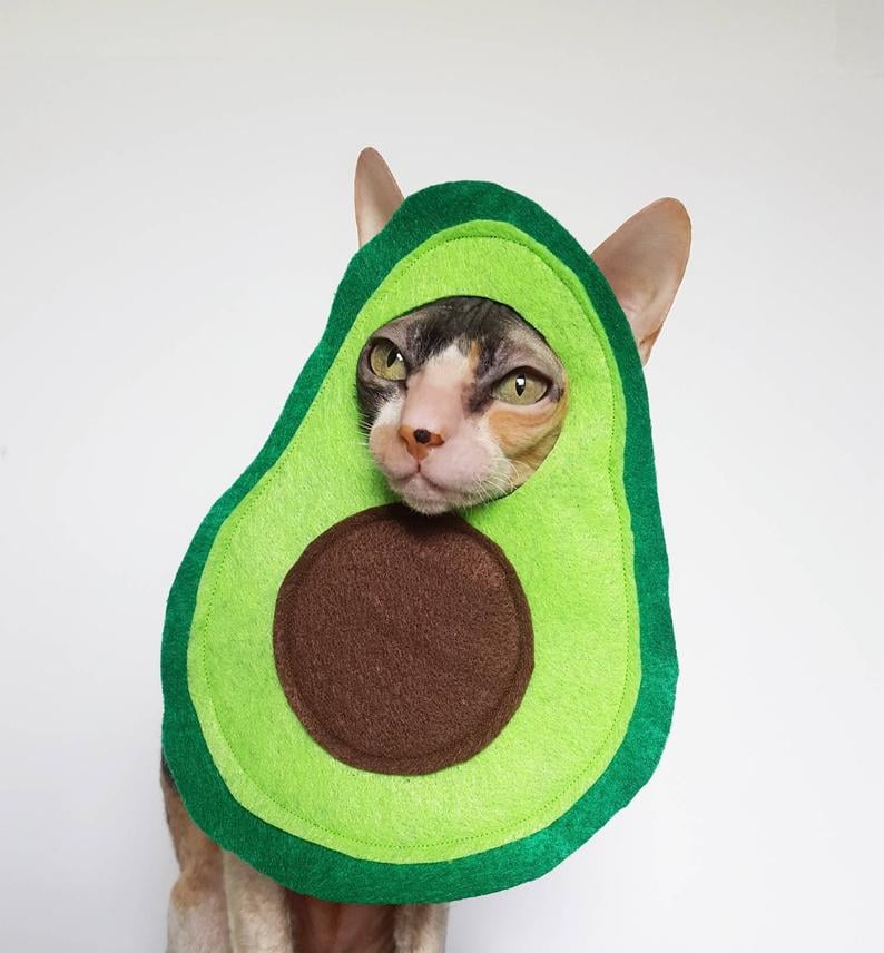 Avocato Cat Costume