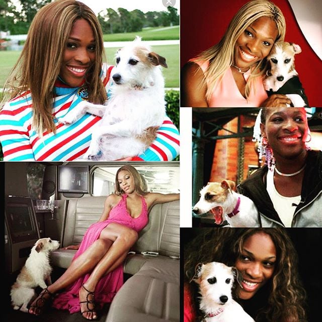 Serena Williams's Dog Jackie Dies