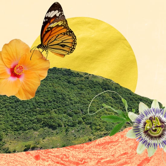 Introducing De la Editora, Your New Latine Newsletter