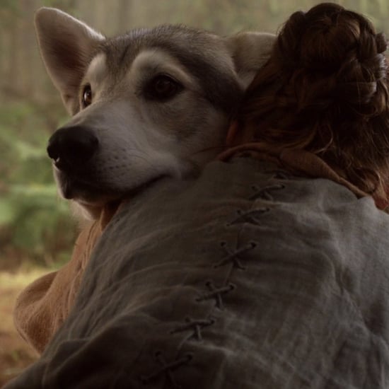 Where Is Arya's Direwolf Nymeria on Game of Thrones?