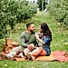 Apple Orchard Engagement Shoot