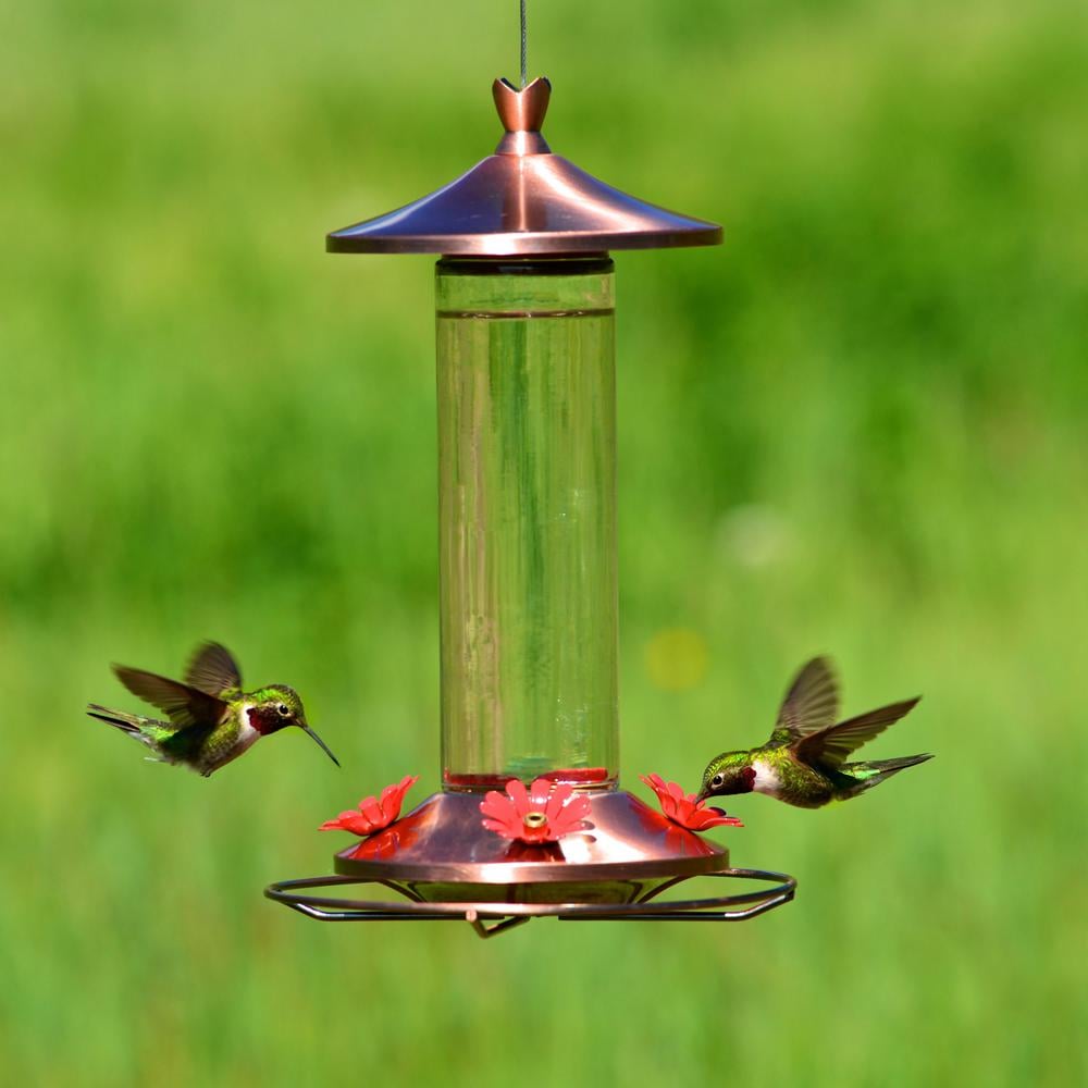 Perky-Pet Elegant Glass Copper Hummingbird Feeder
