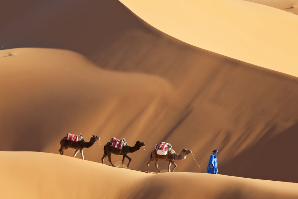 Explore the Sahara Desert