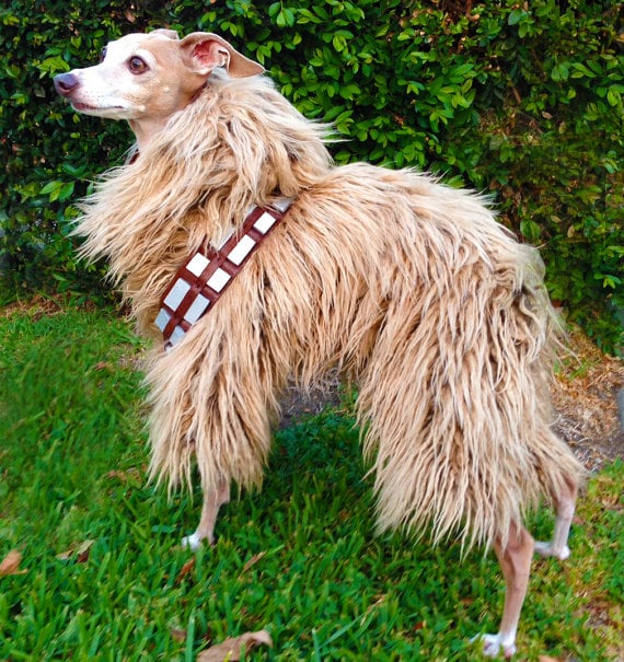Chewbacca DIY Halloween Costumes For Dogs POPSUGAR Pets Photo 11