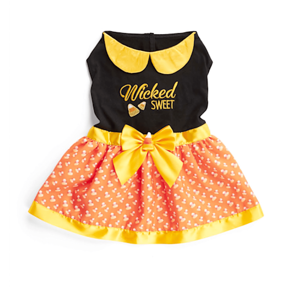 Shop Petco's Best Halloween Costumes For Dogs and Cats 2023 POPSUGAR Pets