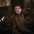 The Very Best Reactions to That INSANELY Badass Arya Moment on Game of Thrones