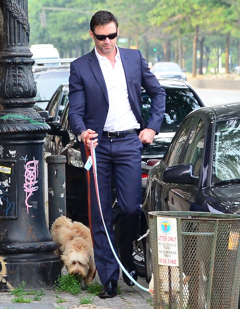 Hugh Jackman Walking His Dogs in a Suit in NYC