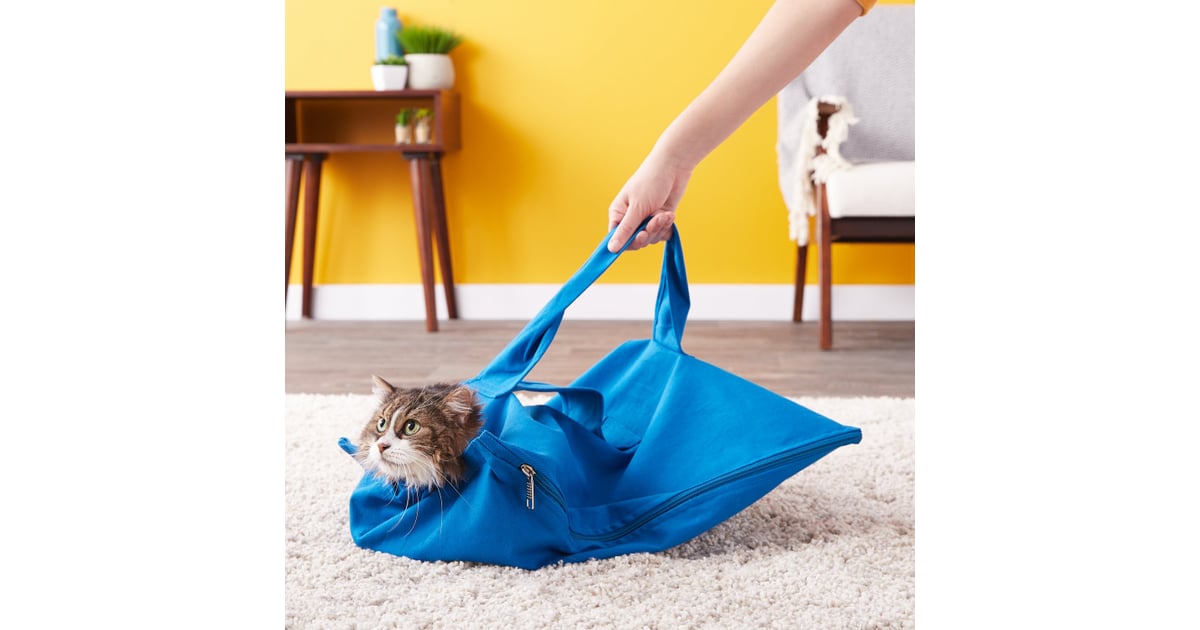 Cat In The Bag E Z Zip Cat Carrier Raise The Woof 50 Pet