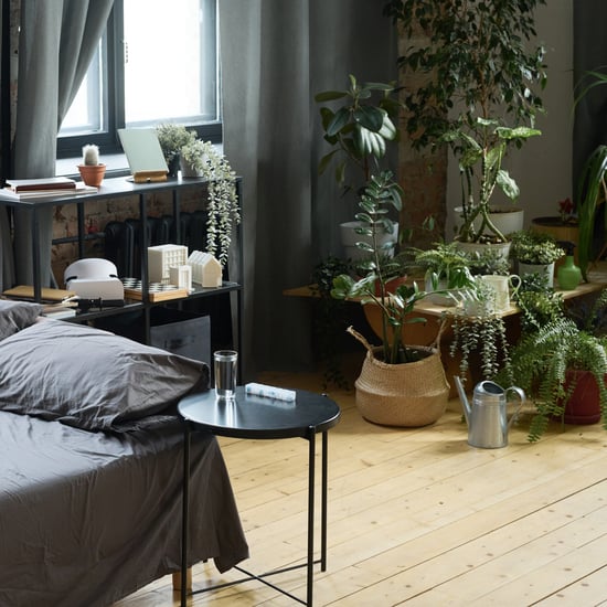 Biophilic Design Explained, Plus Room Inspo