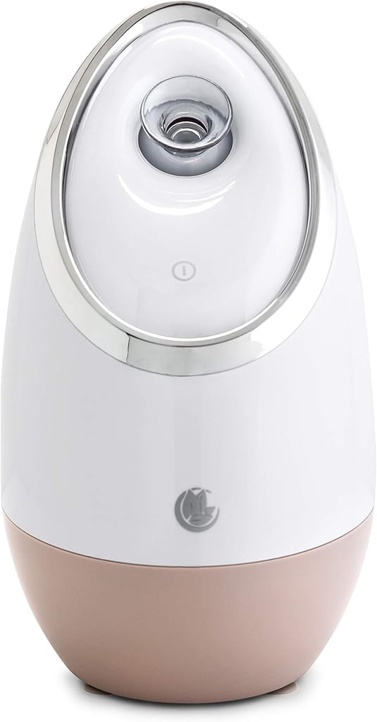 Best Mini Facial Steamer