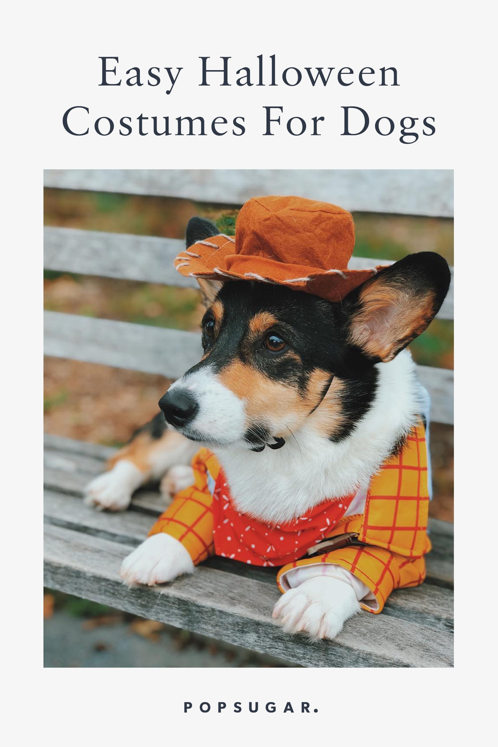 Easy Halloween Costumes For Dogs POPSUGAR Pets