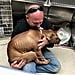 Pit Bull Rescued From Fighting Life