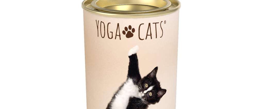 These Yoga Cat and Dog Hot Cocoa Mixes Make the Best Gift