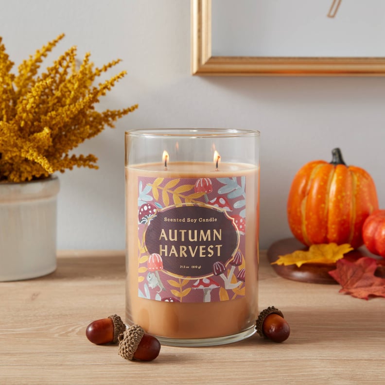 Fragrant Flame: Opalhouse 2-Wick Autumn Harvest Candle