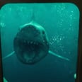 The 47 Meters Down: Uncaged Trailer Is Here, and No, I'll Never Go Back in the Water