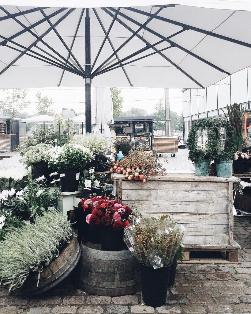 "Quick stop in Copenhagen for coffee before we head up the west coast of Sweden. Found a little flower stand!"