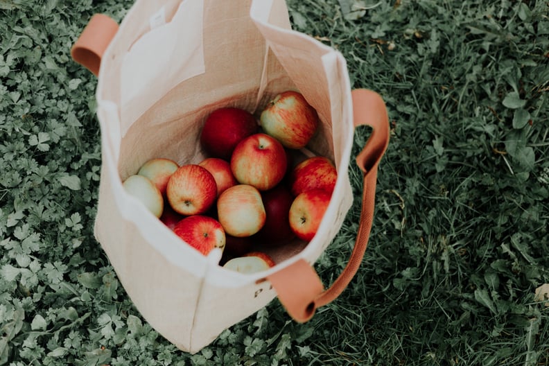 Go apple picking.