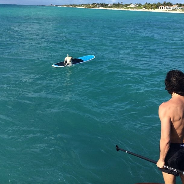 Looks like someone got stranded out at sea!
Source: Instagram user constjablonski