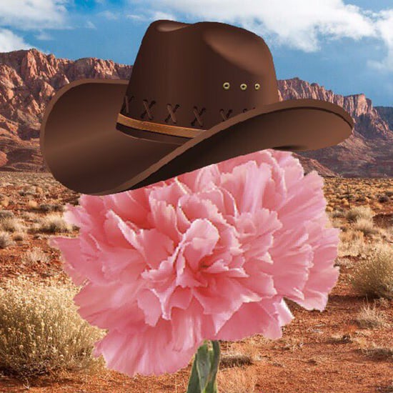 Best What in Tarnation Memes