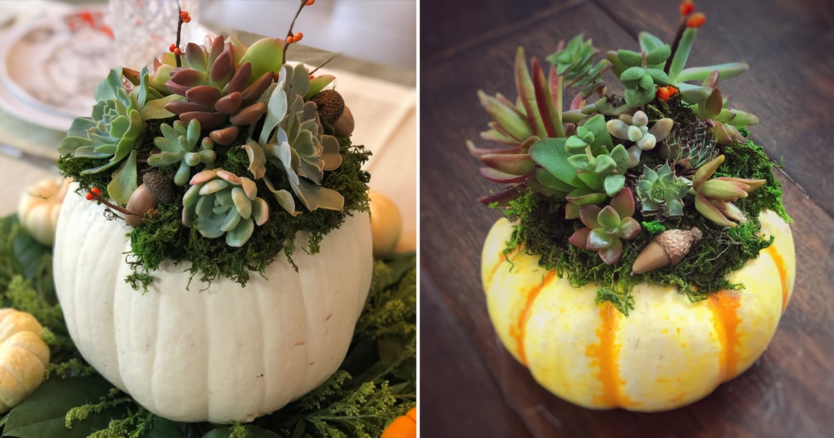 This Is Your Sign to DIY a Succulent Pumpkin For Fall