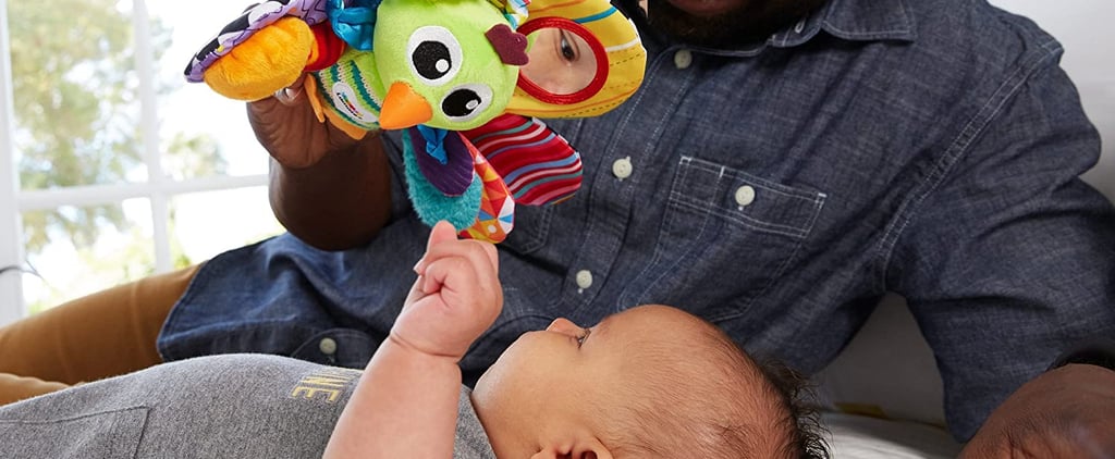 The Best Lamaze Toys For Babies