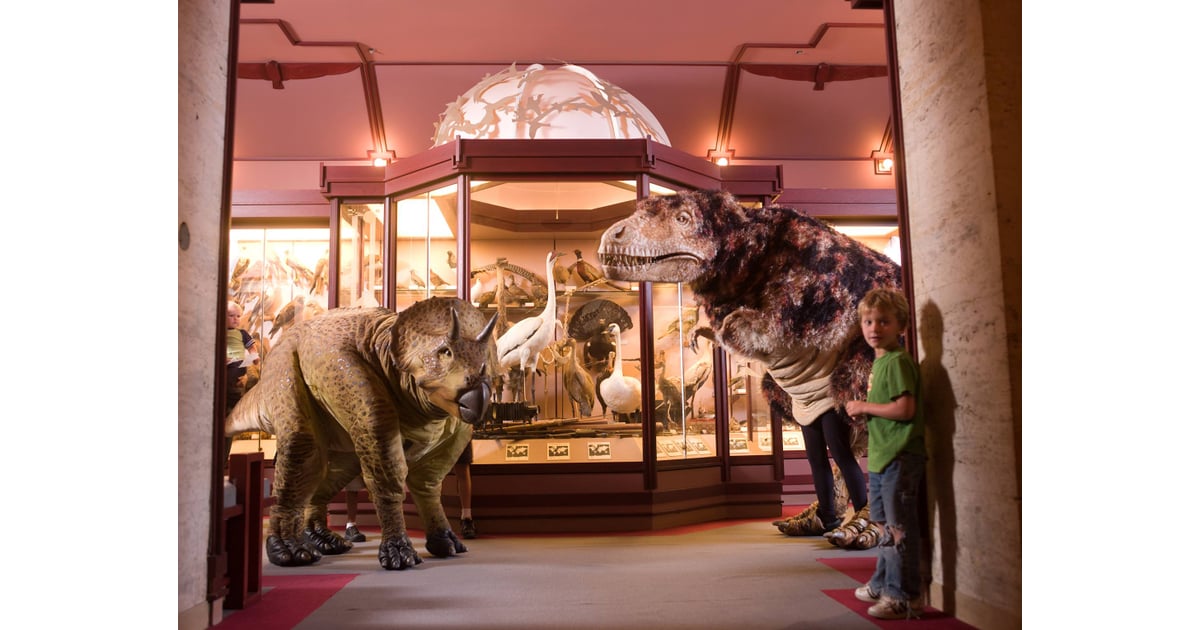 Natural History Museum Of Los Angeles County Los Angeles A Night At The Museum Popsugar Family Photo 10