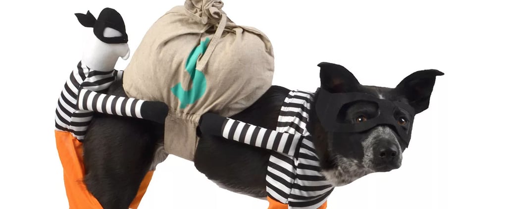 Best Target Pet Halloween Costumes | 2019
