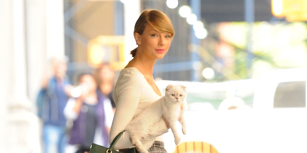 Taylor Swift News 🩵 on X: 📷  Typical Taylor wearing cat socks