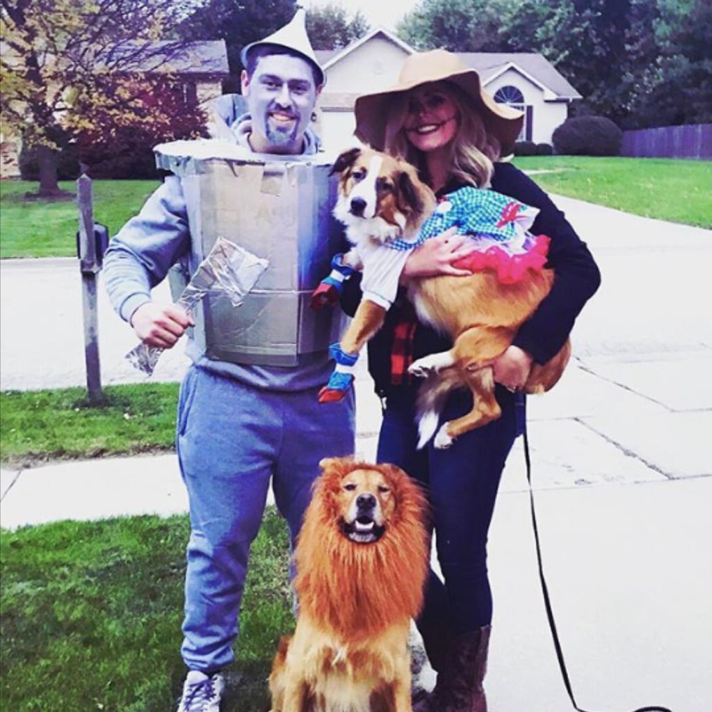 Matching Dog and Owner Costumes