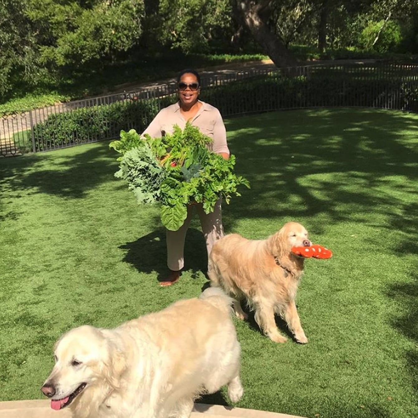 Photos of Oprah Winfrey's Houses PS Home