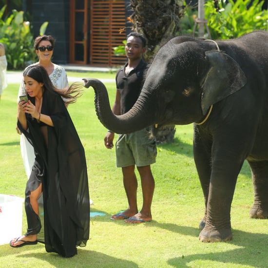 Kim Kardashian Taking Selfie With Elephant in Thailand