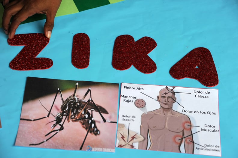 Zika Virus