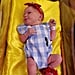 Newborn Babies Dressed in Wizard of Oz Costumes