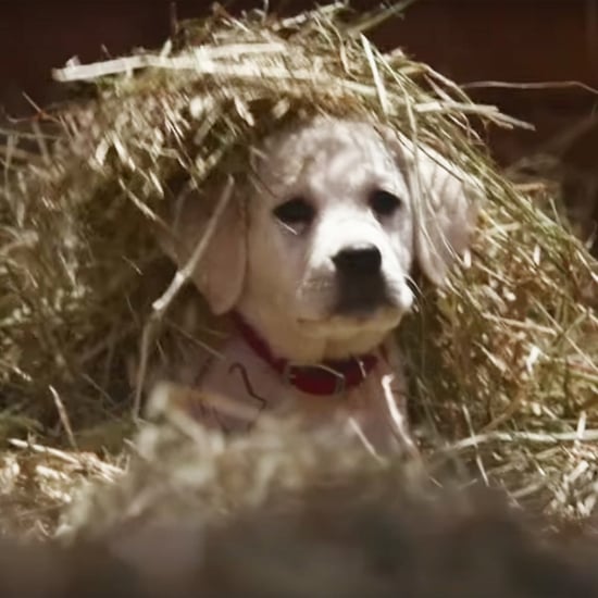 Super Bowl Commercials 2015