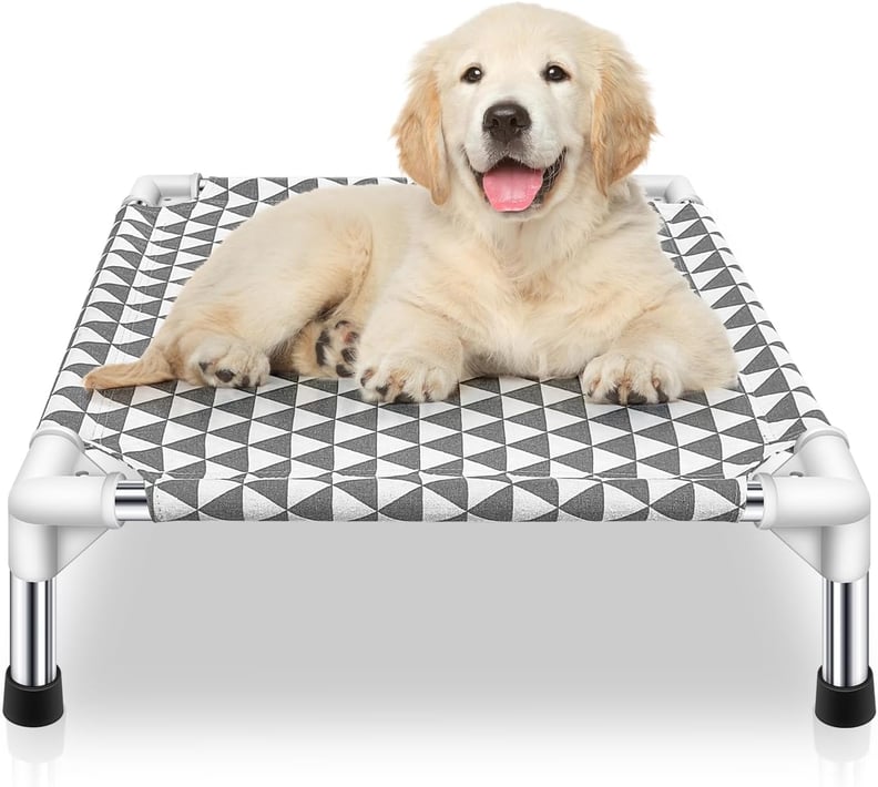 Best Budget-Friendly Elevated Pet Bed