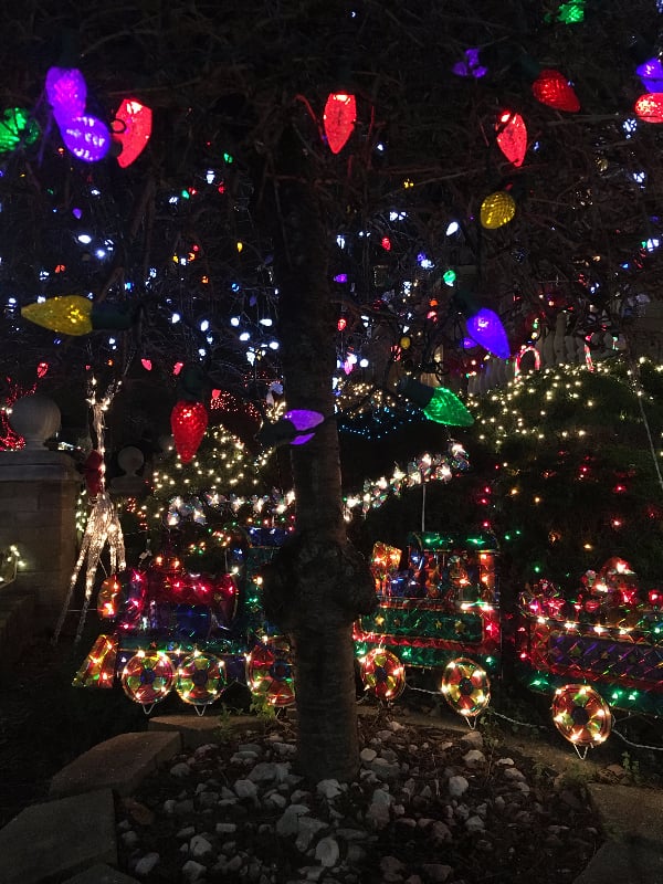 A train set lights up this tree.