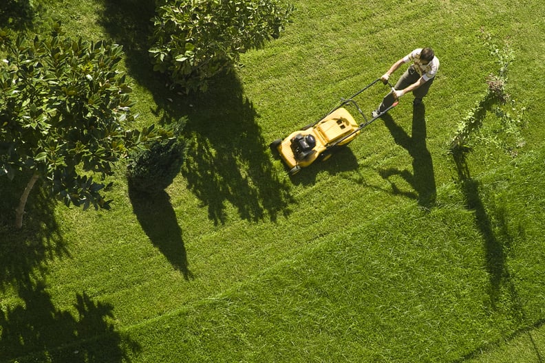 Mow Lawns