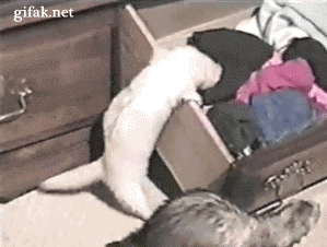 2. Second-Sock Finder