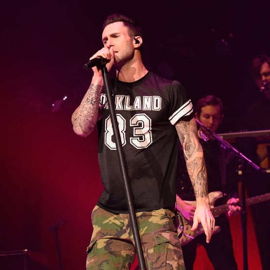 Adam Levine Hits Girl With Microphone During Maroon 5 Show