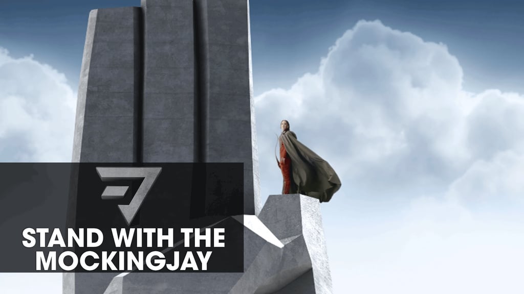 "Stand With the Mockingjay"