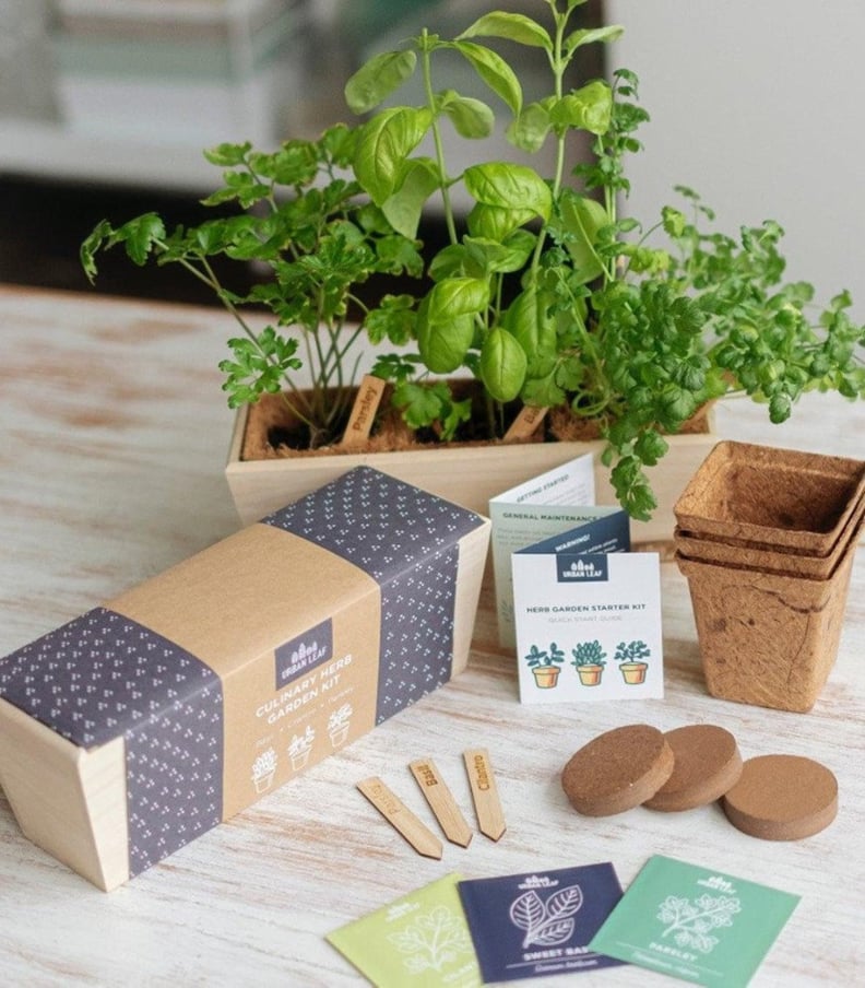 For the Green Thumb: Herb Garden Kit