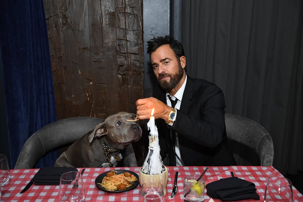Tessa Thompson and Justin Theroux With Dogs at Screening