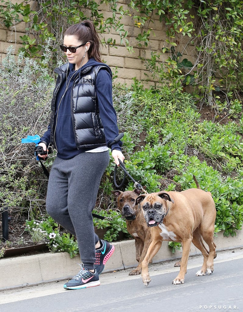Jessica Biel's Baby Bump With Her Dogs | Photos