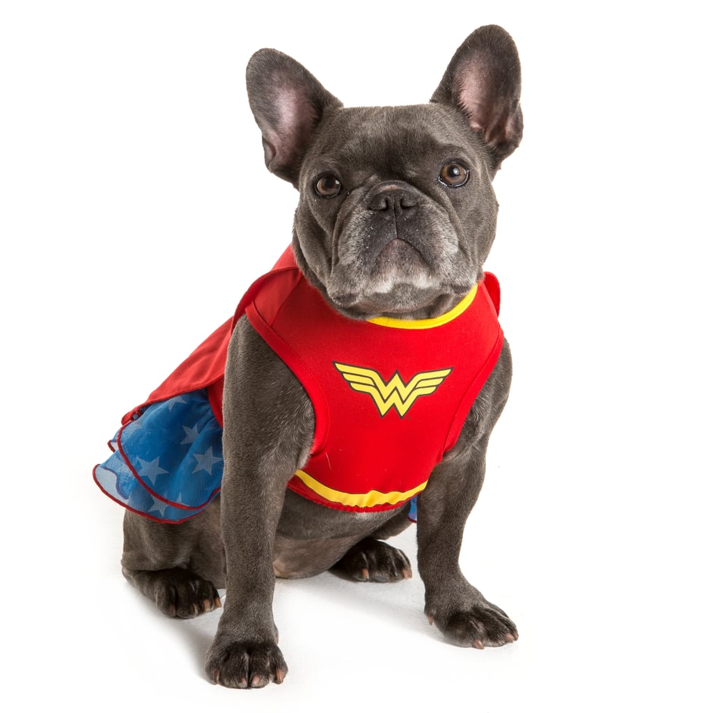 Other Action Heroes/Wonderwoman