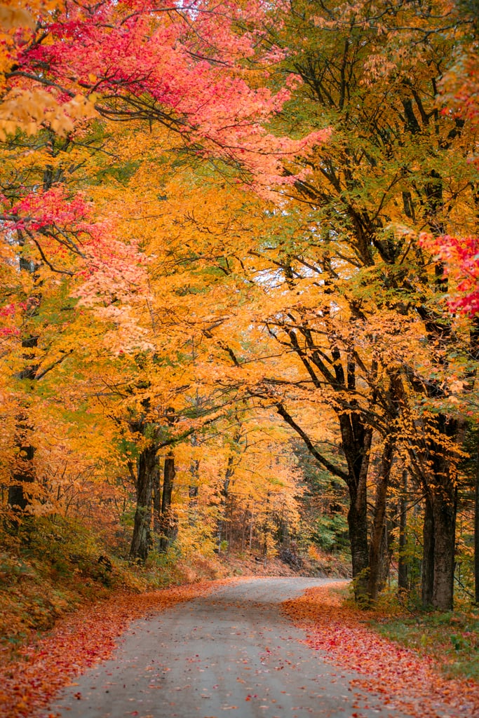 Go on a Scenic Hike