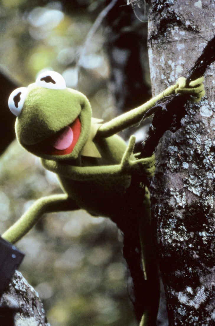 Kermit the Frog | Most Popular Muppets Ranking | POPSUGAR Family Photo 11