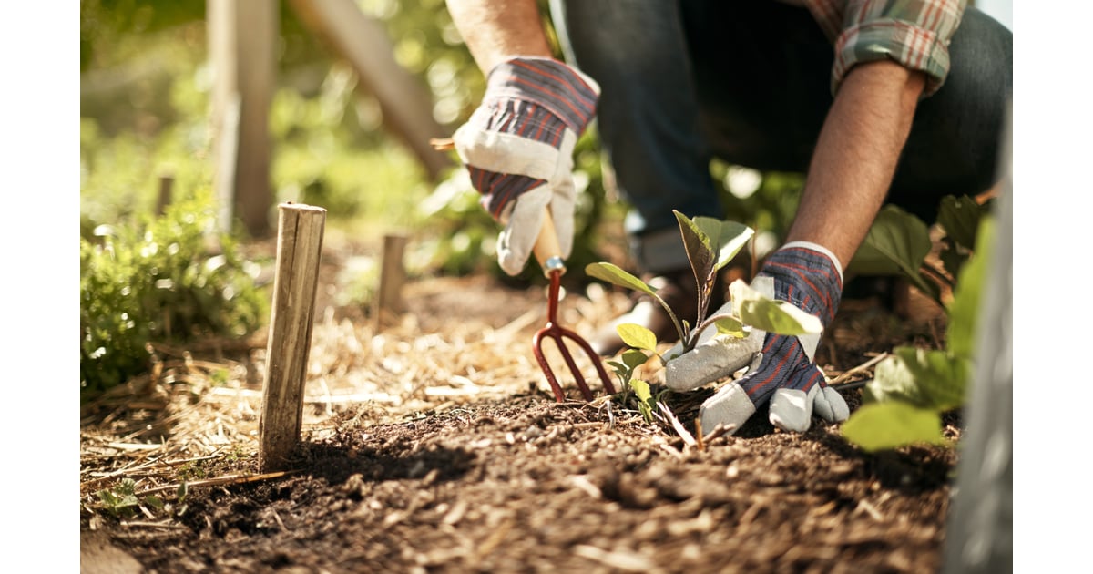 Portfolio Low Voltage Landscape Lights Not, Landscaping Yard Work