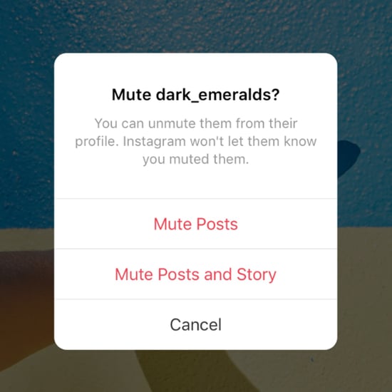 How to Mute Someone on Instagram